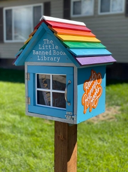 little free library birdhouse model, multicolored, reading