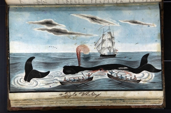 period illustration of whaling boats on the ocean and right whales being hunted