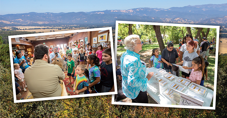 Mendocino County Library Round Valley Branch, Community Anchor | Best Small Library in America 2024