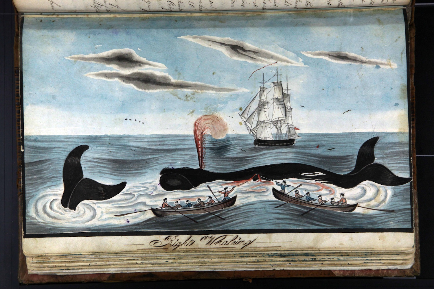 The New Bedford Whaling Museum | Archives Deep Dive