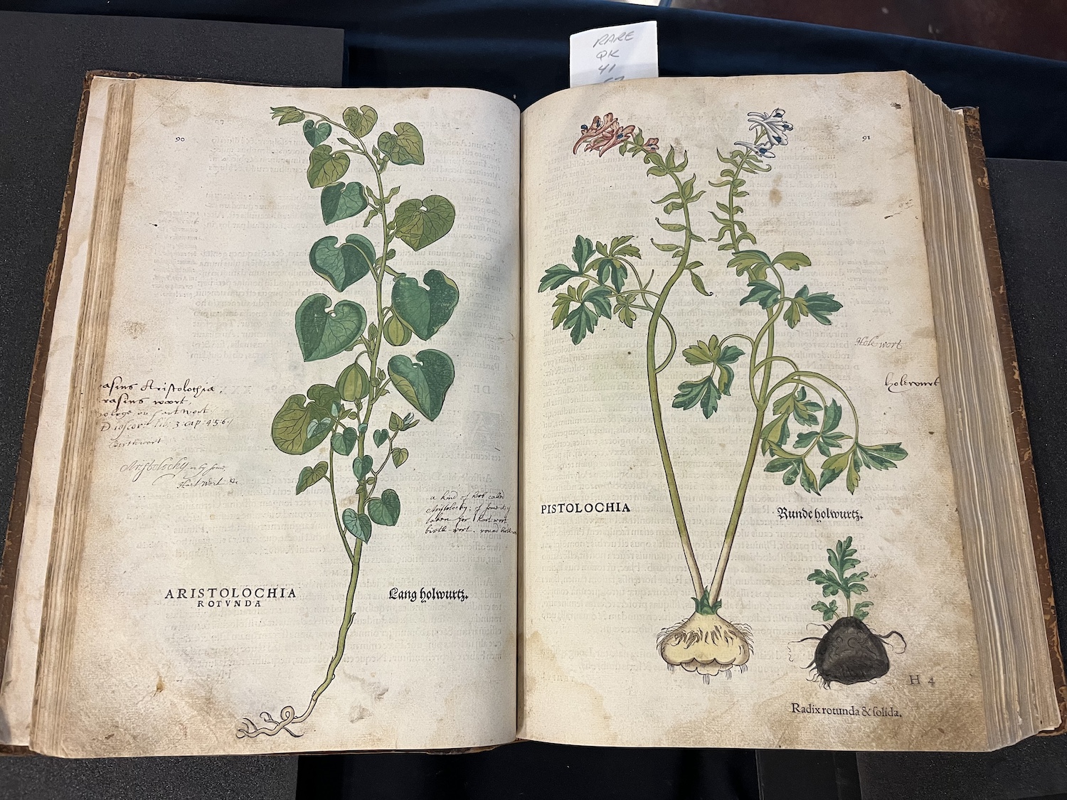 Growing a Library: National Tropical Botanical Garden | Archives Deep Dive